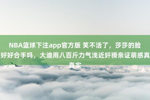 NBA篮球下注app官方版 笑不活了，莎莎的脸蛋好好合手吗，大迪用八百斤力气浅近奸猾亲证萌感真实