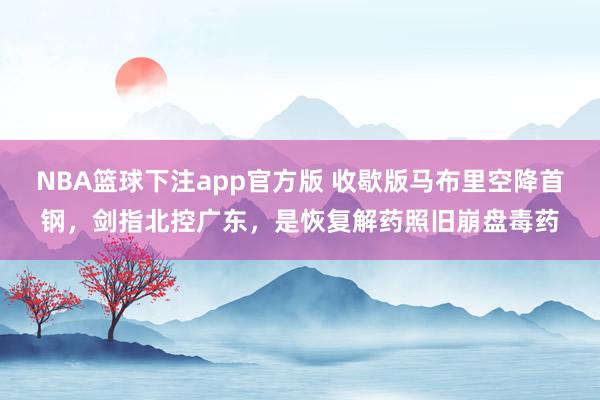 NBA篮球下注app官方版 收歇版马布里空降首钢，剑指北控广东，是恢复解药照旧崩盘毒药