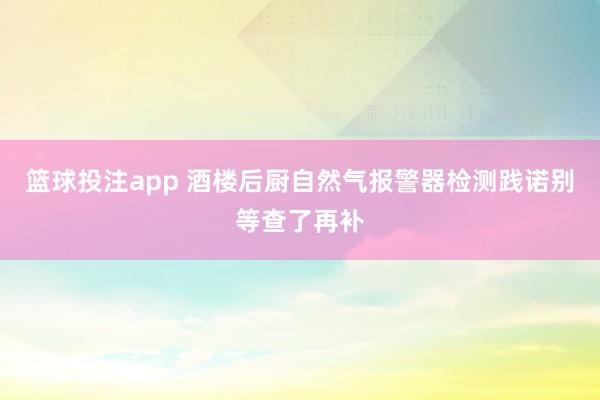 篮球投注app 酒楼后厨自然气报警器检测践诺别等查了再补