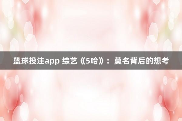 篮球投注app 综艺《5哈》：莫名背后的想考