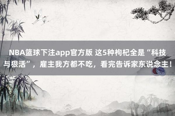 NBA篮球下注app官方版 这5种枸杞全是“科技与狠活”，雇主我方都不吃，看完告诉家东说念主！