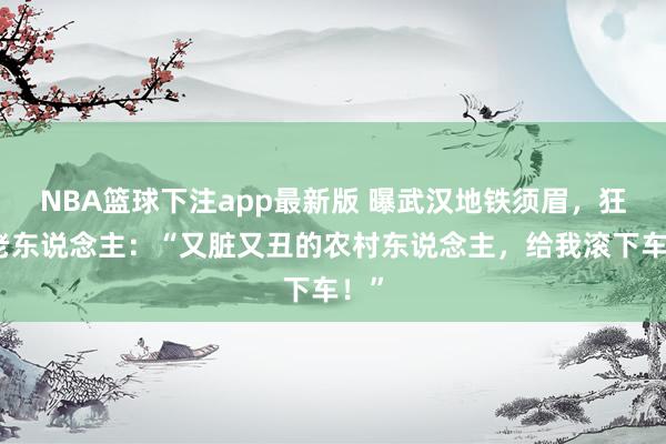 NBA篮球下注app最新版 曝武汉地铁须眉，狂骂老东说念主：“又脏又丑的农村东说念主，给我滚下车！”