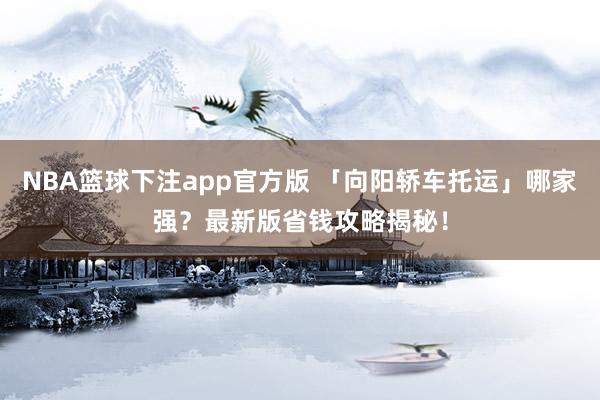 NBA篮球下注app官方版 「向阳轿车托运」哪家强？最新版省钱攻略揭秘！