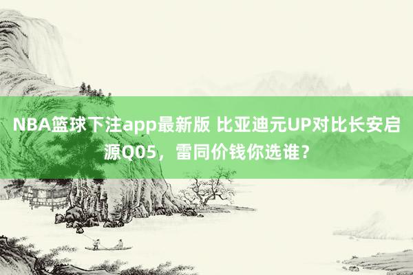 NBA篮球下注app最新版 比亚迪元UP对比长安启源Q05，雷同价钱你选谁？