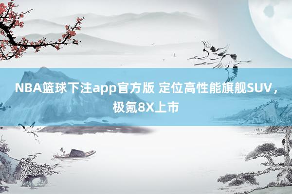 NBA篮球下注app官方版 定位高性能旗舰SUV，极氪8X上市