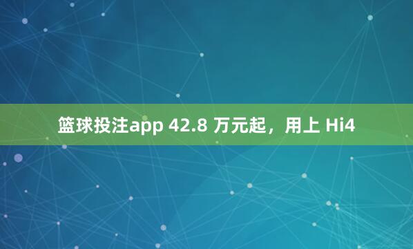 篮球投注app 42.8 万元起，用上 Hi4