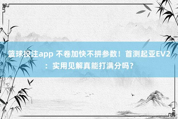 篮球投注app 不卷加快不拼参数！首测起亚EV2：实用见解真能打满分吗？