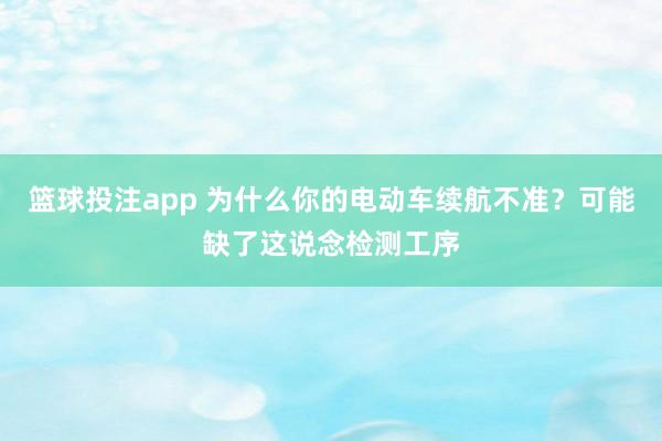 篮球投注app 为什么你的电动车续航不准？可能缺了这说念检测工序