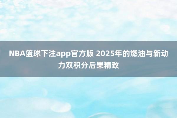 NBA篮球下注app官方版 2025年的燃油与新动力双积分后果精致