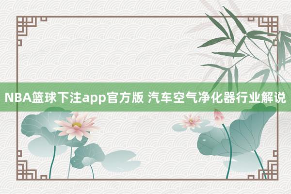 NBA篮球下注app官方版 汽车空气净化器行业解说