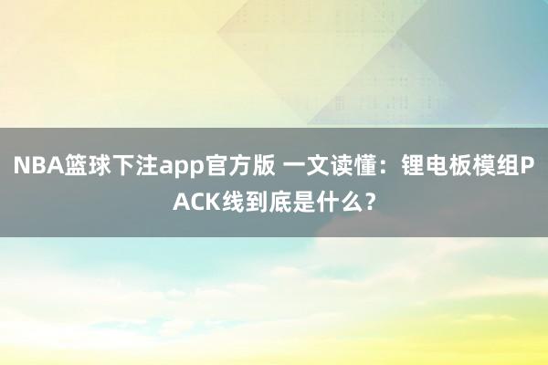NBA篮球下注app官方版 一文读懂：锂电板模组PACK线到底是什么？