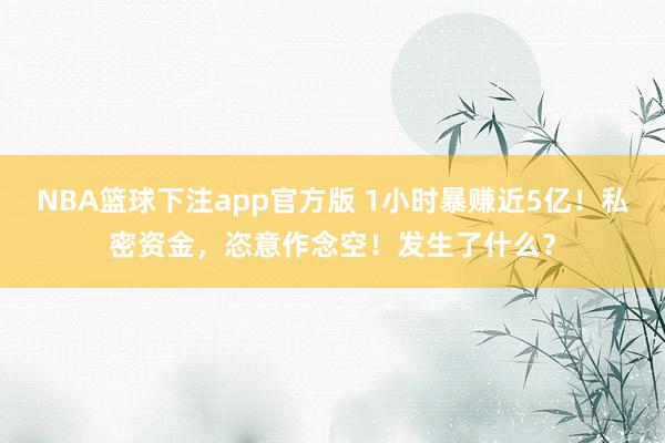 NBA篮球下注app官方版 1小时暴赚近5亿！私密资金，恣意作念空！发生了什么？