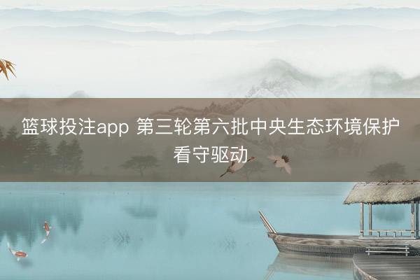 篮球投注app 第三轮第六批中央生态环境保护看守驱动